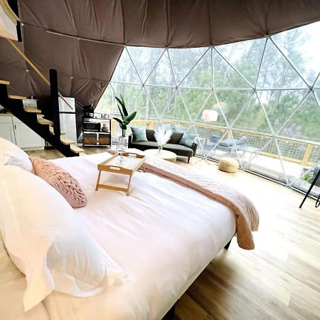 Princess Dome At Nine Pines Cadiz Exteriér fotografie